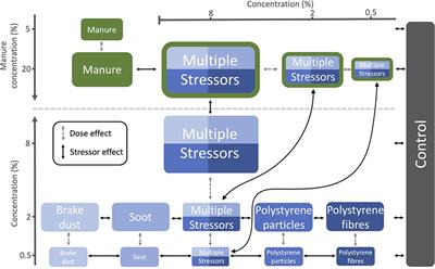 Individual vs. Combined Short-Term Effects of Soil Pollutants on Colony Founding in a Common Ant Species